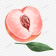 桃花TV直播APP应用