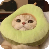 星行视频下载APP应用